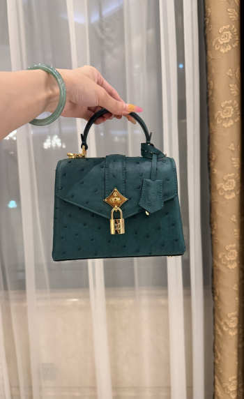 New Collection 2026 Louis Vuitton N83604 Mini Wind Rose In Mint Ostrich Leather 19x15x9cm