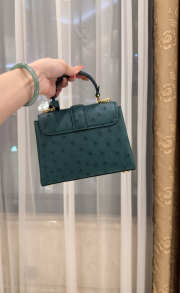 New Collection 2026 Louis Vuitton N83604 Mini Wind Rose In Mint Ostrich Leather 19x15x9cm - 5