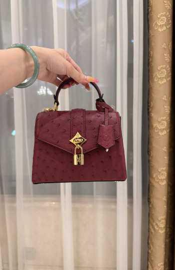 New Collection 2026 Louis Vuitton N83604 Mini Wind Rose In Burgundy Ostrich Leather 19x15x9cm