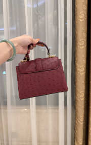 New Collection 2026 Louis Vuitton N83604 Mini Wind Rose In Burgundy Ostrich Leather 19x15x9cm - 3