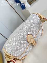 Uubags Louis Vuitton M29795 Diane PM Bag Monogram Emblème Peuplier Motif 24x15x9cm - 4