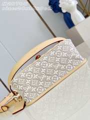 Uubags Louis Vuitton M29795 Diane PM Bag Monogram Emblème Peuplier Motif 24x15x9cm - 3