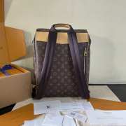 Uubags Louis Vuitton M29295 Flaneur Backpack Monogram/Yellow 30x39x13.5cm - 2