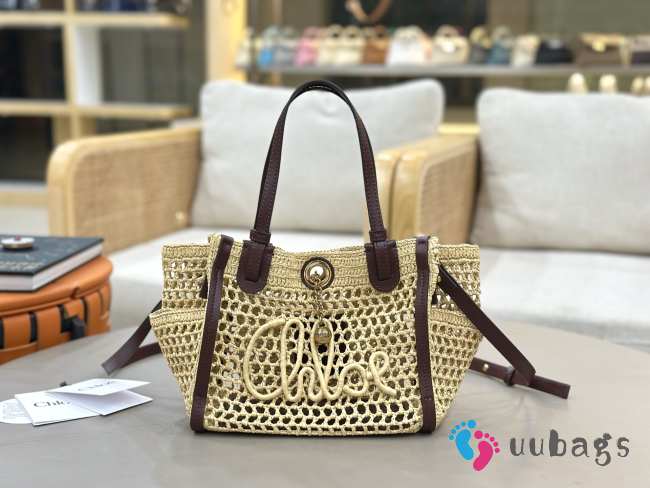 Uubags small Chloé Iconic double carry bag in raffia 23x20x12cm - 1