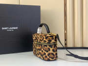 Uubags YSL small Gaby vanity bag in pony hair leather 18x11x6.5cm - 3