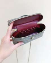Uubags Chanel Vanity with Chain Crocodile Embossed Calfskin & Gold-Tone Metal Tourterelle Creme 17x19.5x5cm - 3