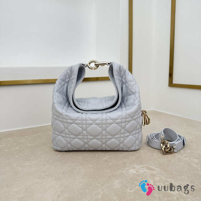 Uubags Dior Always Small Hobo Bag Lambskin Leather Light Grey 22.5x14x7.5cm - 1