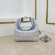 Uubags Dior Always Small Hobo Bag Lambskin Leather Light Grey 22.5x14x7.5cm - 1