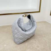 Uubags Dior Always Small Hobo Bag Lambskin Leather Light Grey 22.5x14x7.5cm - 2
