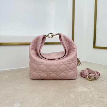 Uubags Dior Always Small Hobo Bag Lambskin Leather Pink 22.5x14x7.5cm