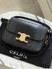 Uubags Celine Medium Teen Triomphe Bag in Black Lizard 18.5x13.5x7cm - 1