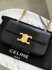 Uubags Celine Chain Shoulder Bag Claude In Black Lizard 20.5x11.5x4cm - 1