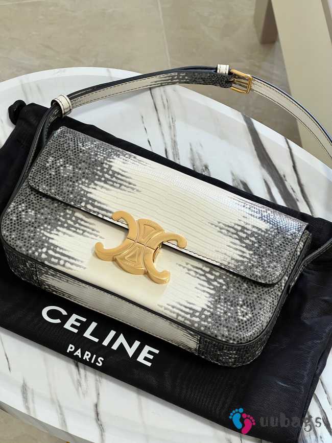 Uubags Celine Chain Shoulder Bag Claude In Natural Lizard 20.5x11.5x4cm  - 1