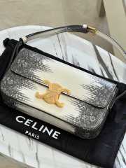 Uubags Celine Chain Shoulder Bag Claude In Natural Lizard 20.5x11.5x4cm  - 1