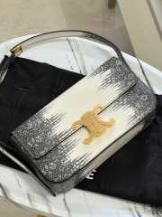 Uubags Celine Chain Shoulder Bag Claude In Natural Lizard 20.5x11.5x4cm  - 3