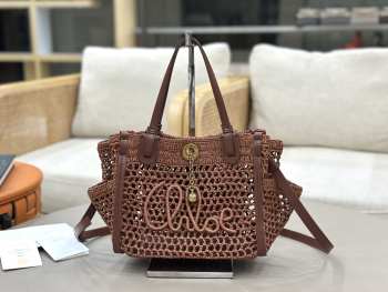 Uubags small Chloé Iconic double carry bag in raffia dark brown 23x20x12cm