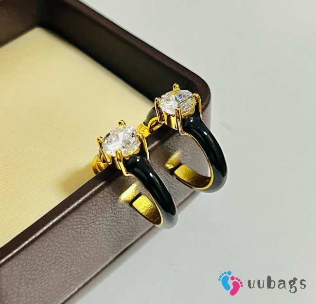 Uubags Bottega Veneta earrings - 1
