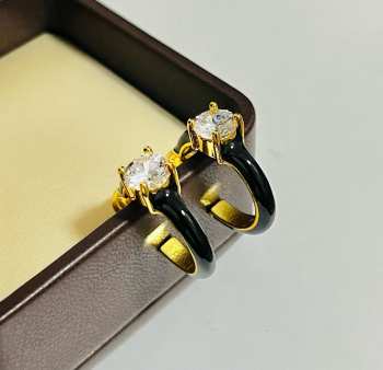 Uubags Bottega Veneta earrings