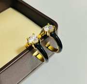 Uubags Bottega Veneta earrings - 2
