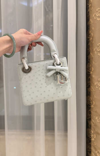 Uubags Dior Mini Lady Bag Light Grey Ostrich Leather with Strap 17x15x7cm