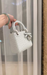 Uubags Dior Mini Lady Bag Light Grey Ostrich Leather with Strap 17x15x7cm - 3