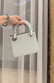 Uubags Dior Mini Lady Bag Light Grey Ostrich Leather with Strap 17x15x7cm - 6