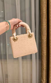 Uubags Dior Mini Lady Bag Powder Beige Ostrich Leather with Strap 17x15x7cm - 3