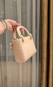 Uubags Dior Mini Lady Bag Powder Beige Ostrich Leather with Strap 17x15x7cm - 6