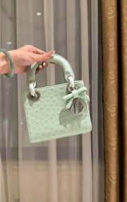 Uubags Dior Mini Lady Bag Light Green Ostrich Leather with Strap 17x15x7cm - 1