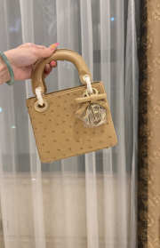 Uubags Dior Mini Lady Bag Camel Beige Ostrich Leather with Strap 17x15x7cm - 1