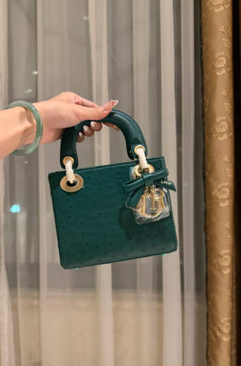 Uubags Dior Mini Lady Bag Dark Green Ostrich Leather with Strap 17x15x7cm