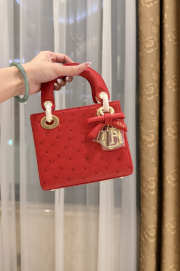 Uubags Dior Mini Lady Bag Red Ostrich Leather with Strap 17x15x7cm - 1