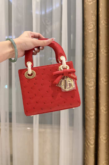 Uubags Dior Mini Lady Bag Red Ostrich Leather with Strap 17x15x7cm