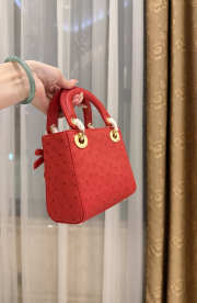 Uubags Dior Mini Lady Bag Red Ostrich Leather with Strap 17x15x7cm - 6