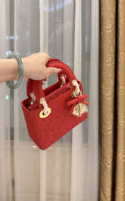 Uubags Dior Mini Lady Bag Red Ostrich Leather with Strap 17x15x7cm - 4