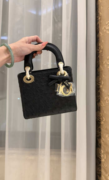 Uubags Dior Mini Lady Bag Black Ostrich Leather with Strap 17x15x7cm