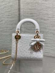 Uubags Dior Mini Lady Bag White Ostrich Leather with Gold Hardware 17x15x7cm - 5