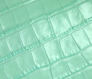 Uubags Chanel small shopping bag embossed calfskin with crocodile pattern & gold-plated alloy in green 20x39x13cm - 6