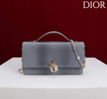 Uubags My Dior Top Handle Bag In Grey Python Embossed Leather 21x11.5x4.5cm