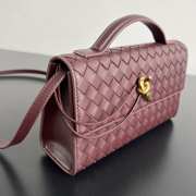 Uubags Bottega Veneta Andiamo Clutch 25 In Deep Mahogany 24x13.5x7cm - 3