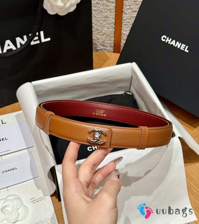 Uubags Chanel Leather Belt In Calfskin & Metal Brown & Silver 2.5cm - 1