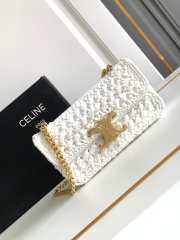 Uubags Celine Small Triomphe Woven Raffia Crossbody Bag White 20.5x11.5x4cm - 1