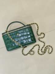Uubags Chanel 2026 crocodile embossed vanity case in green with chain 17cm - 4