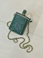 Uubags Chanel 2026 crocodile embossed vanity case in green with chain 17cm - 3