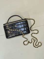 Uubags Chanel 2026 crocodile embossed vanity case in black with chain 17cm - 5