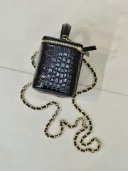 Uubags Chanel 2026 crocodile embossed vanity case in black with chain 17cm - 2