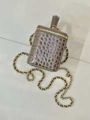 Uubags Chanel 2026 crocodile embossed vanity case in dark khaki with chain 17cm - 2