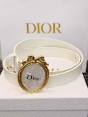 Uubags Dior Medaillon Belt White Smooth Calfskin 25mm - 1