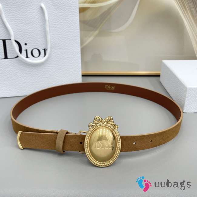 Uubags Dior Médaillon Belt Marron Bobby Brown Suede Calfskin With Gold Buckle 2.5cm - 1