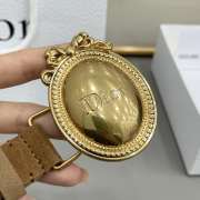 Uubags Dior Médaillon Belt Marron Bobby Brown Suede Calfskin With Gold Buckle 2.5cm - 4
